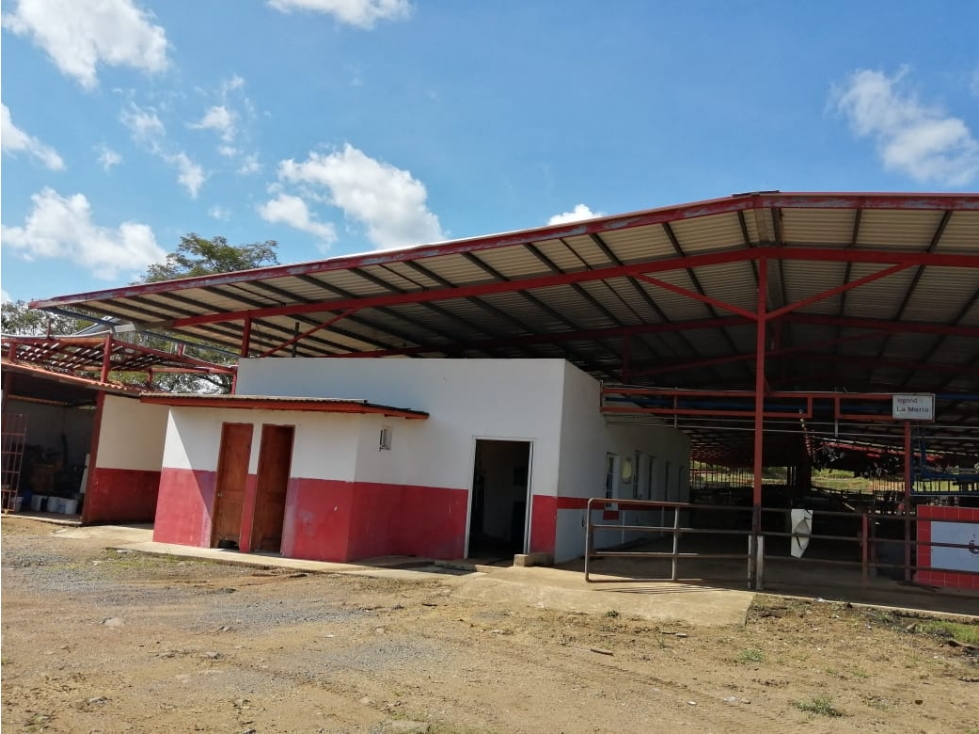 VENTA FINCA EN VERAGUAS PONUGA, LA MARIA - 3