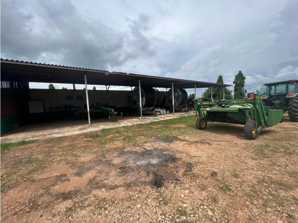 VENTA FINCA EN PENONOME NATA - LA FORTALEZA - 5