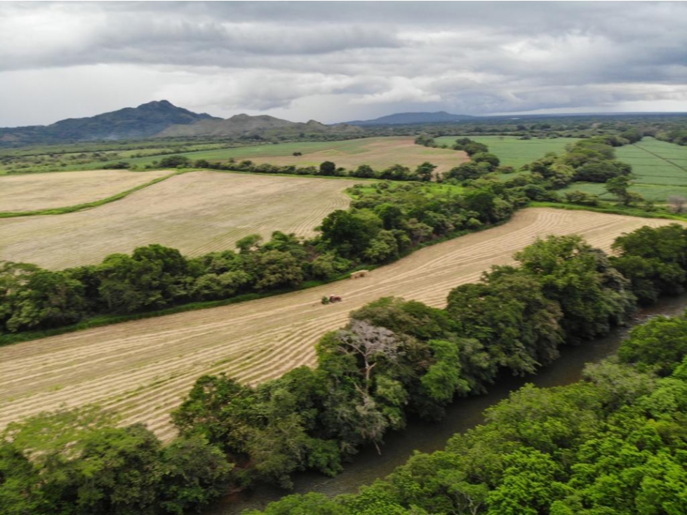 VENTA FINCA EN PENONOME NATA - LA FORTALEZA - 3