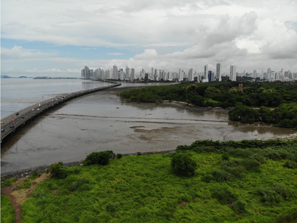 Venta de terreno en Costa del Este, Primera línea al mar — foto 6