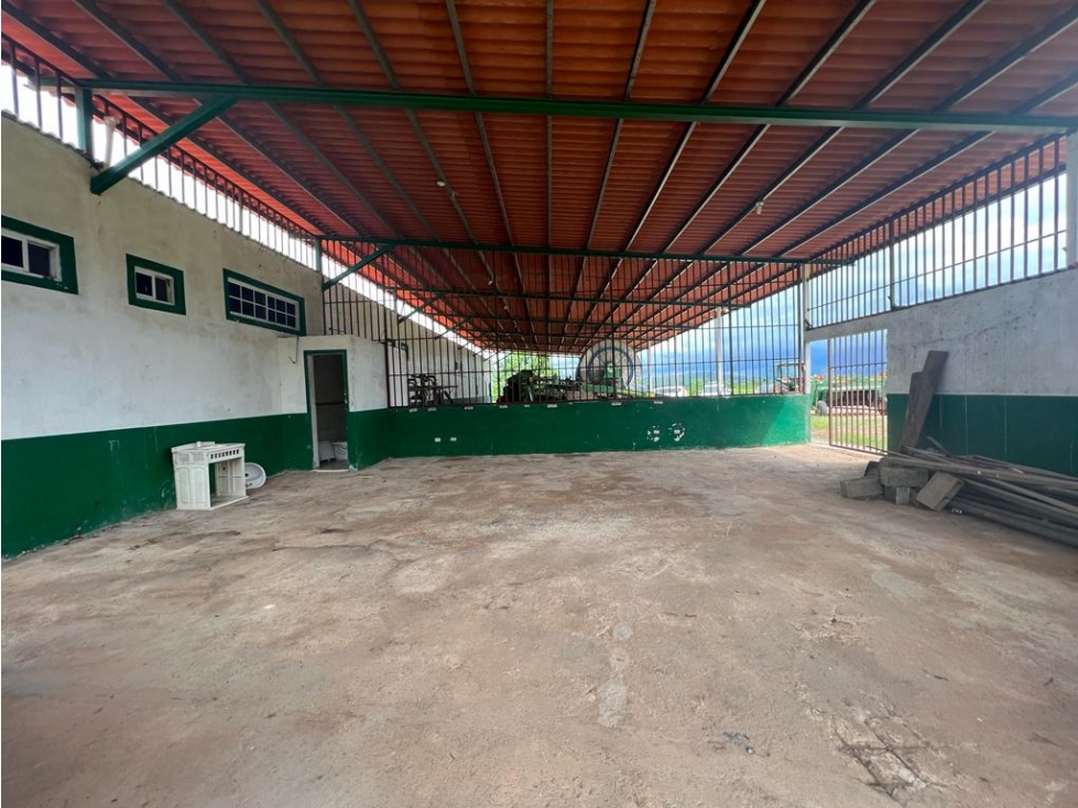 VENTA FINCA EN PENONOME NATA - LA FORTALEZA - 6