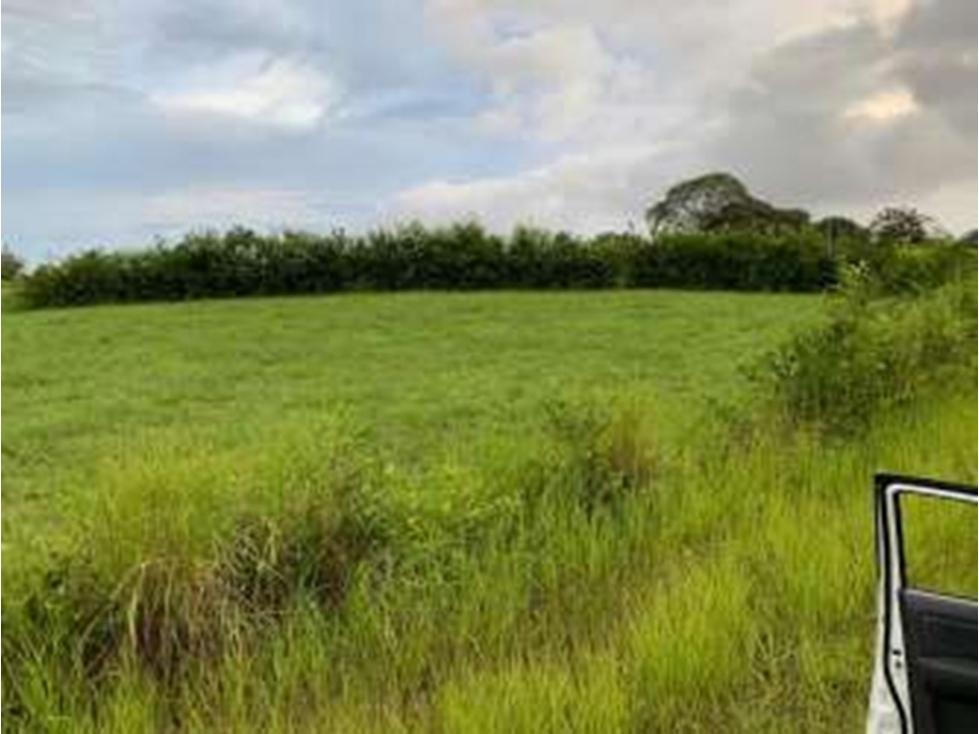 Venta de terreno Equus Village en Pedasi - 3