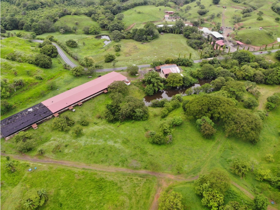 VENTA FINCA EN VERAGUAS PONUGA, LA MARIA - 1