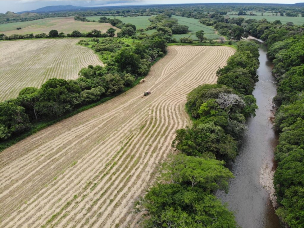 VENTA FINCA EN PENONOME NATA - LA FORTALEZA - 2