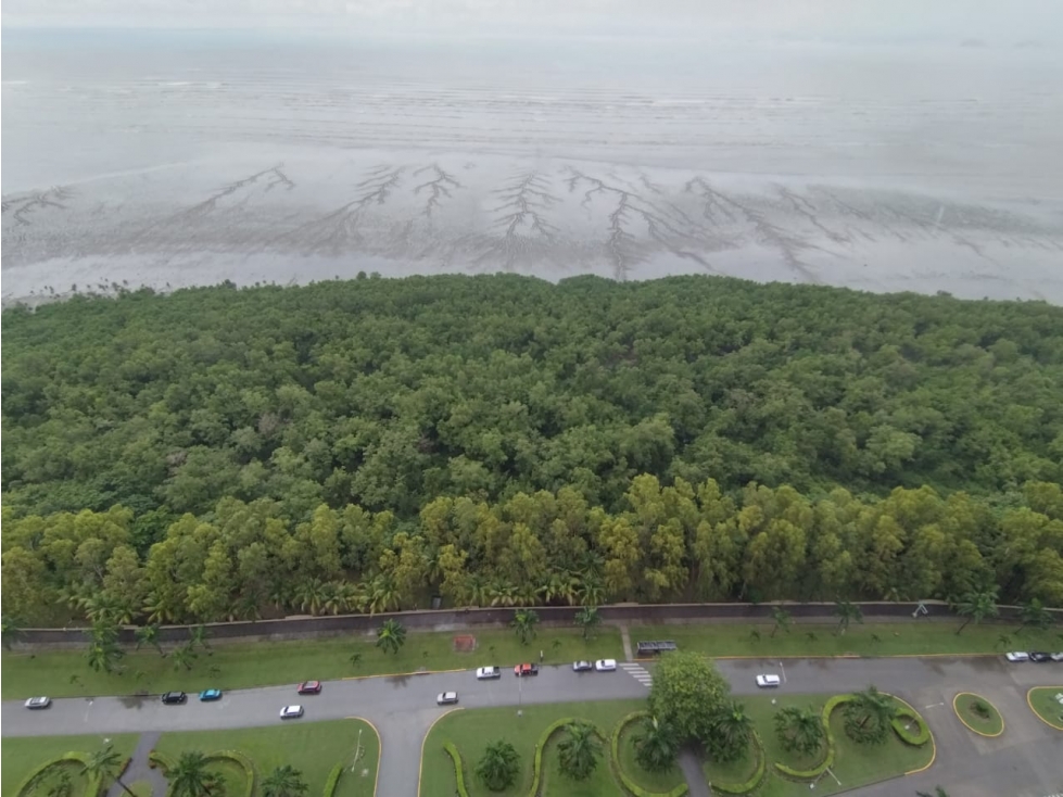 Se vende apartamento en Costa del este, Ph Altamar Del Este — foto 4