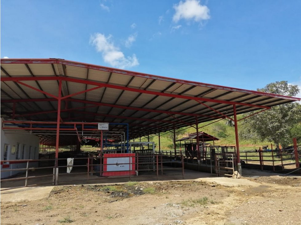 VENTA FINCA EN VERAGUAS PONUGA, LA MARIA - 4