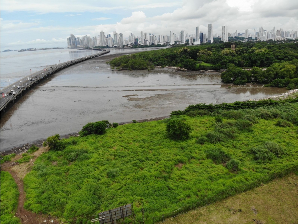 Venta de terreno en Costa del Este, Primera línea al mar — foto 5