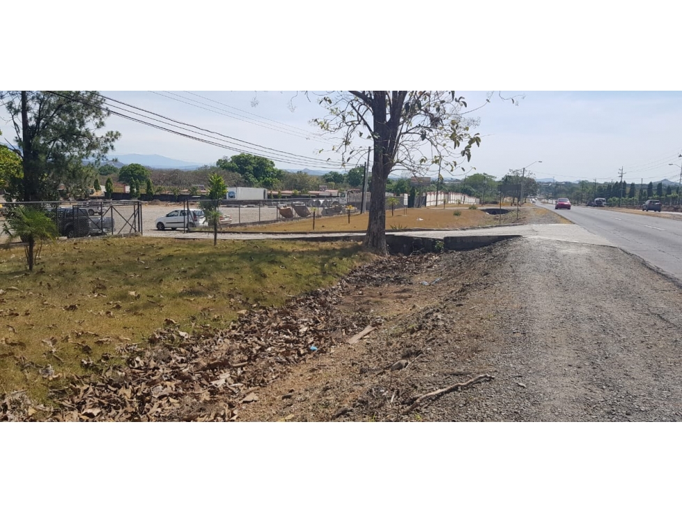 Venta de terreno con oficina en vía interamericana, David, San Pablo - 1