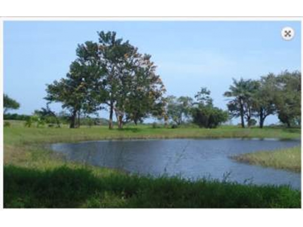 Venta de terreno Equus Village en Pedasi - 4
