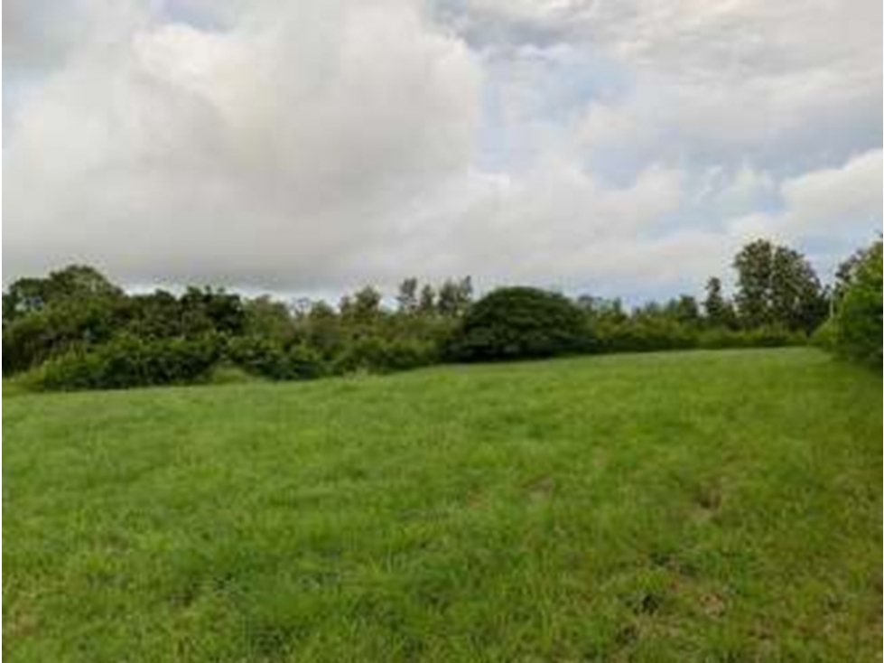 Venta de terreno Equus Village en Pedasi - 5