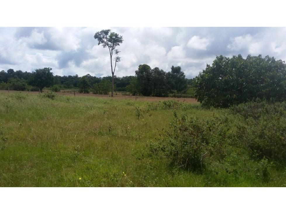 FINCA VENTA, PUERTO PARRA SANTANDER - 3