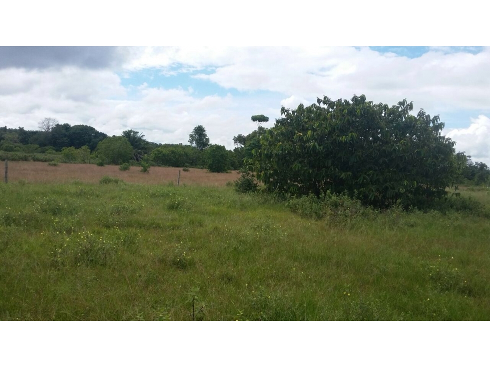 FINCA VENTA, PUERTO PARRA SANTANDER - 5