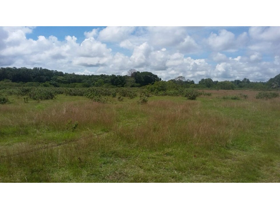 FINCA VENTA, PUERTO PARRA SANTANDER - 2