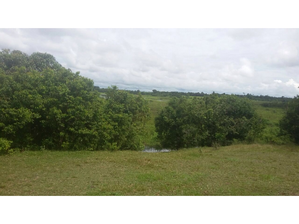 FINCA VENTA, PUERTO PARRA SANTANDER - 6