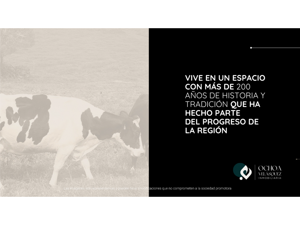 Lotes campestres, Reserva natural | Via Rionegro - Antioquia — foto 5