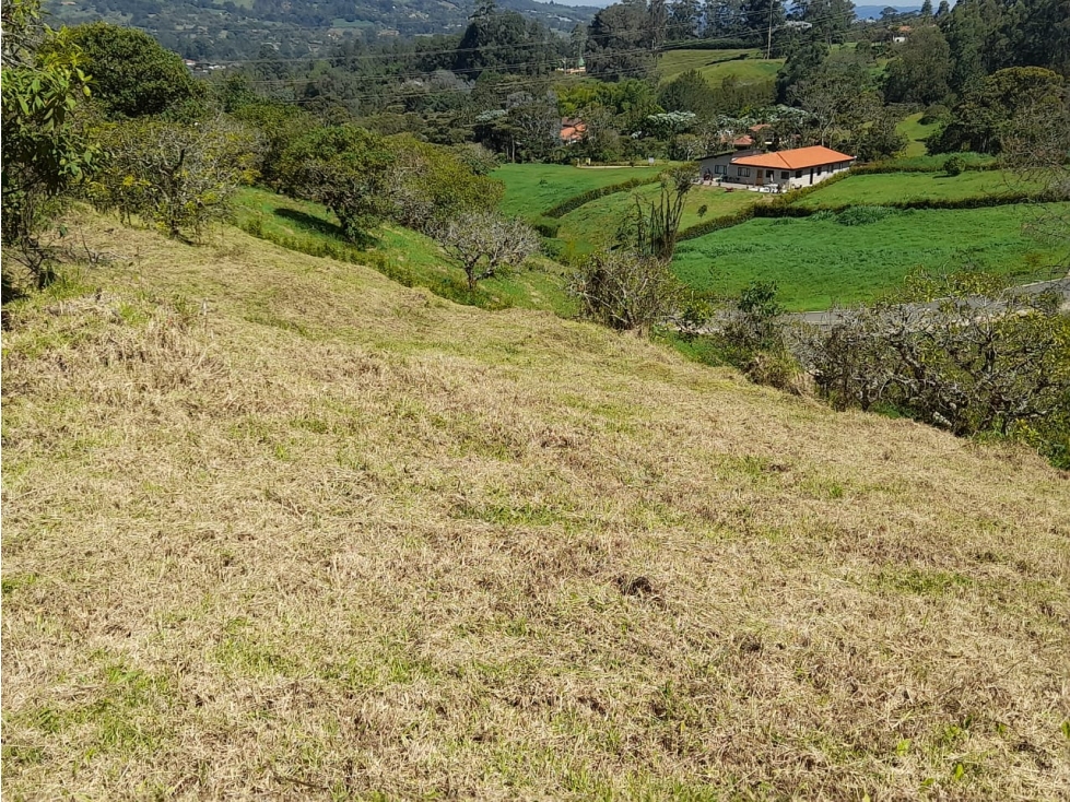 Lote 2.000 m² - Vista panorámica de 360° | La Ceja, Antioquia — foto 3