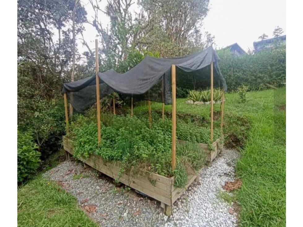 RENTA CASA FINCA CON APARTAESTUDIO EN EL RETIRO — foto 5