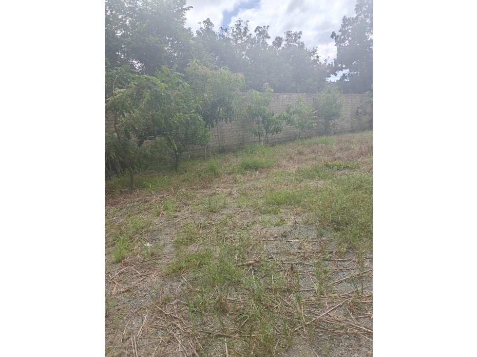 Terreno en Venta Playa los Cocos Nayarit - 5