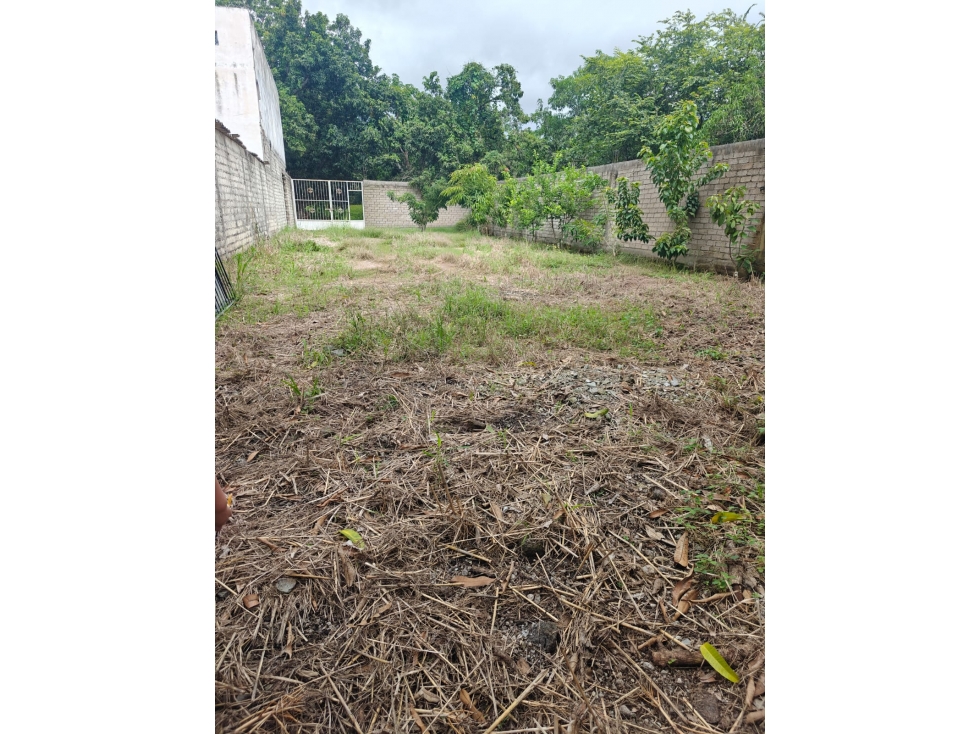 Terreno en Venta Playa los Cocos Nayarit - 4