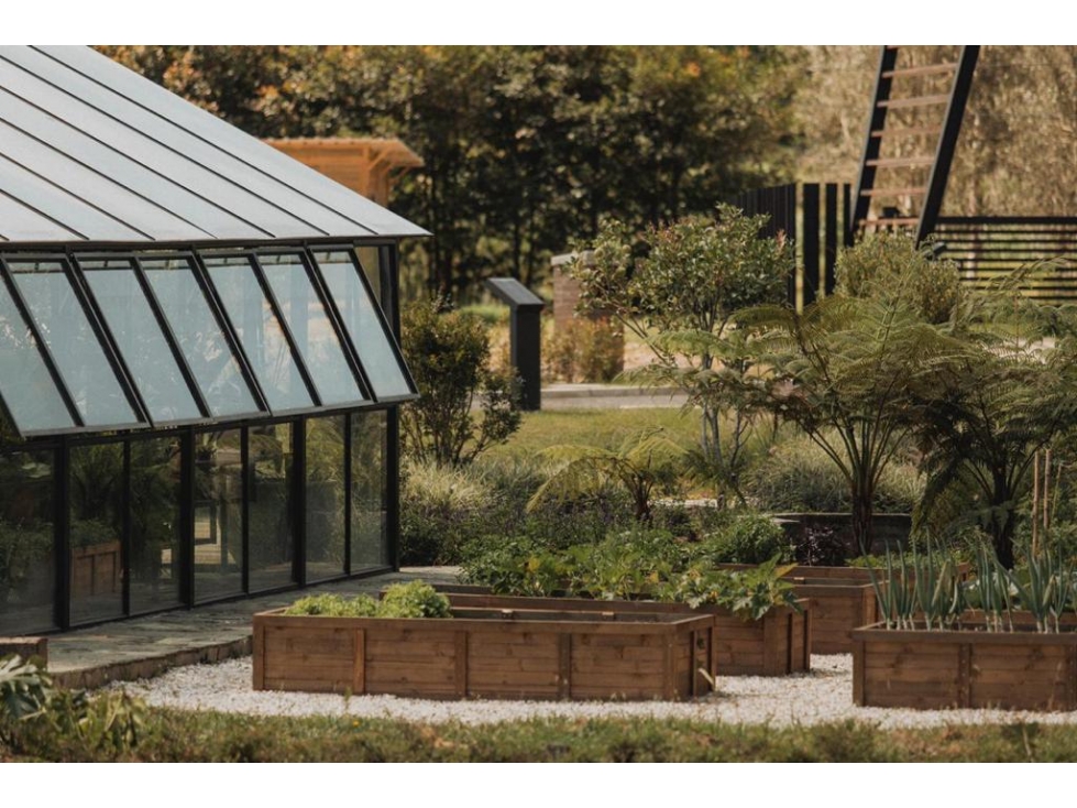 Lote Don Diego