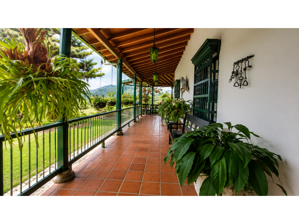 Finca en venta - Fredonia — foto 6
