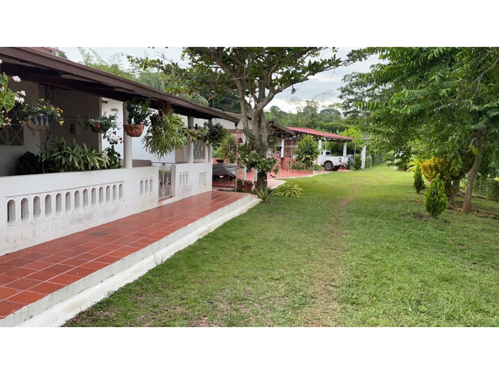 FINCA CACAOTERA PRODUCTIVA EN VENTA - 1
