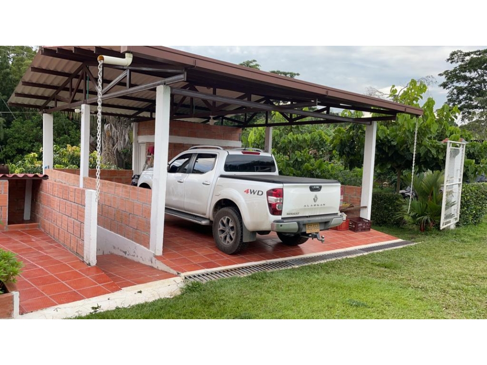FINCA CACAOTERA PRODUCTIVA EN VENTA - 4