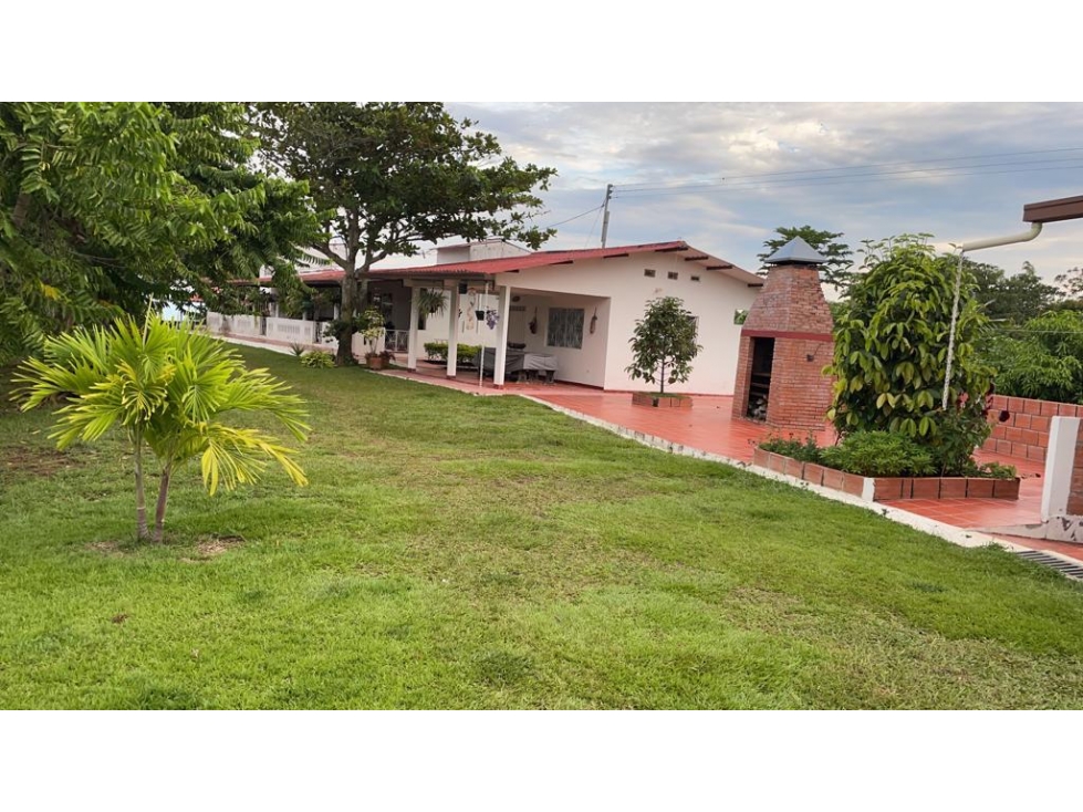 FINCA CACAOTERA PRODUCTIVA EN VENTA - 2