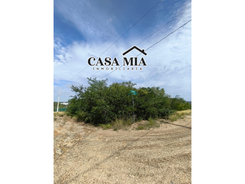 Terreno en Venta en Deportivo Campestre Monte Sur, Montemorelos, N.L. - 5