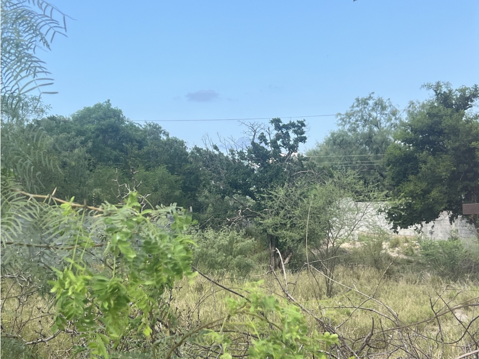 Terreno en Venta en Colonia Centro, El Carmen, N.L. - 5