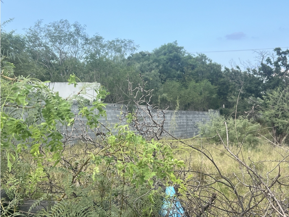 Terreno en Venta en Colonia Centro, El Carmen, N.L. - 6