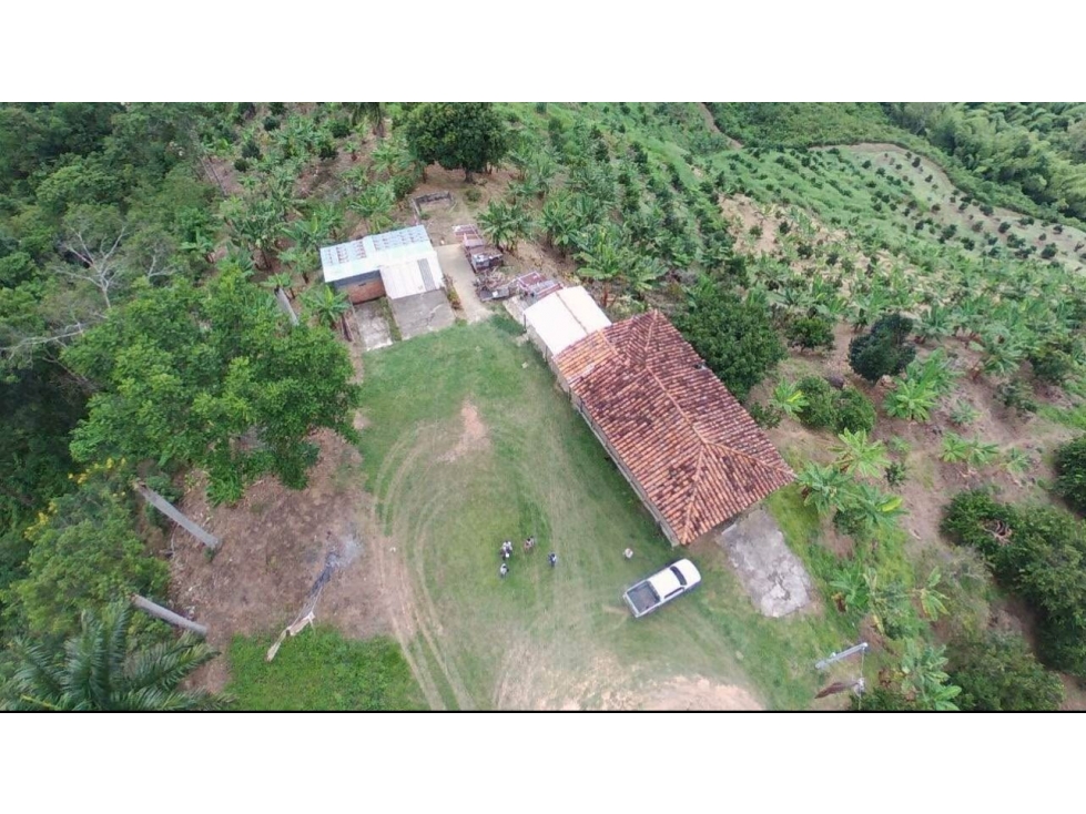 SE VENDE GRANDE FINCA EN BALBOA - 2