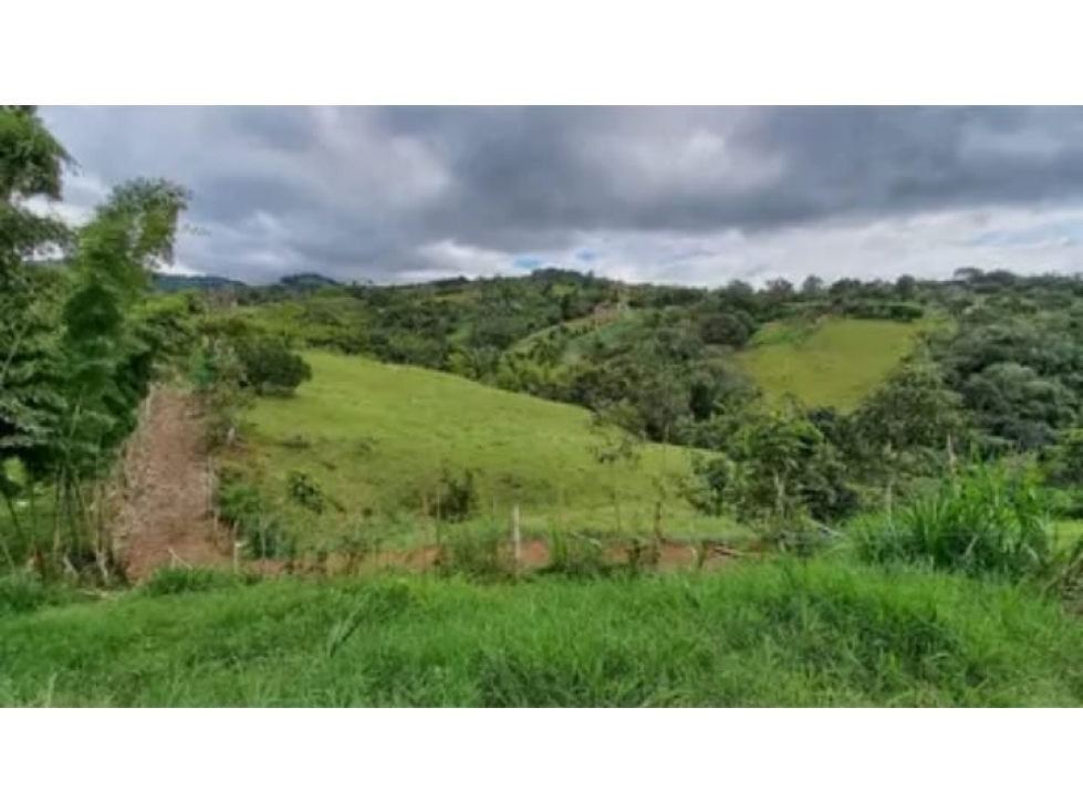 SE VENDE FINCA VEREDA MUNDO NUEVO
