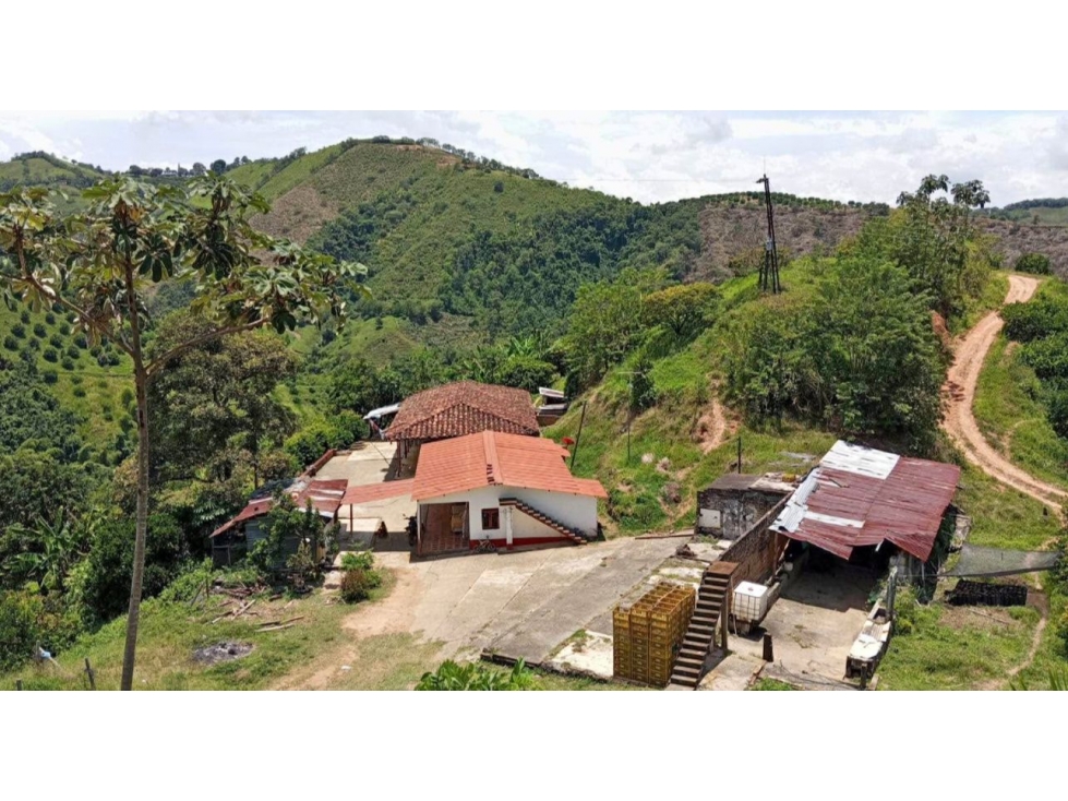 SE VENDE GRANDE FINCA EN BALBOA - 1