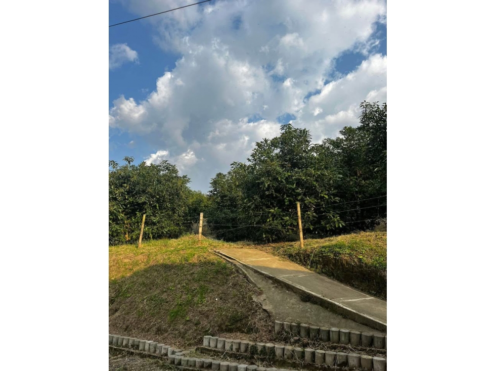 SE VENDE O PERMUTA finca en La Florida - Pereira — foto 6
