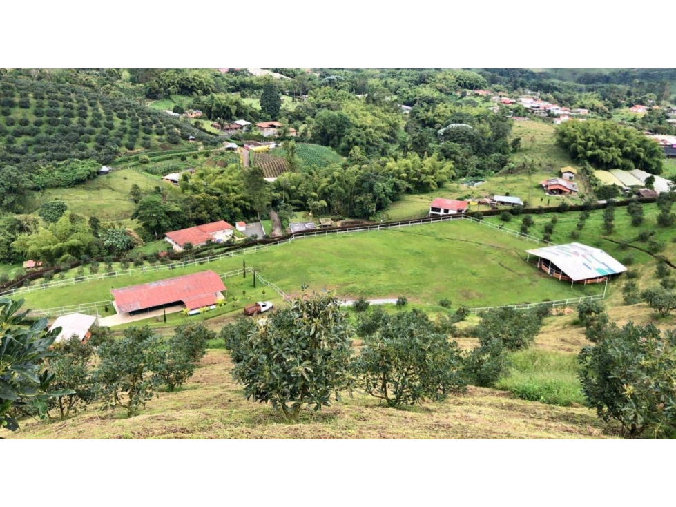 SE VENDE O PERMUTA FINCA EN LA FLORIDA — foto 2