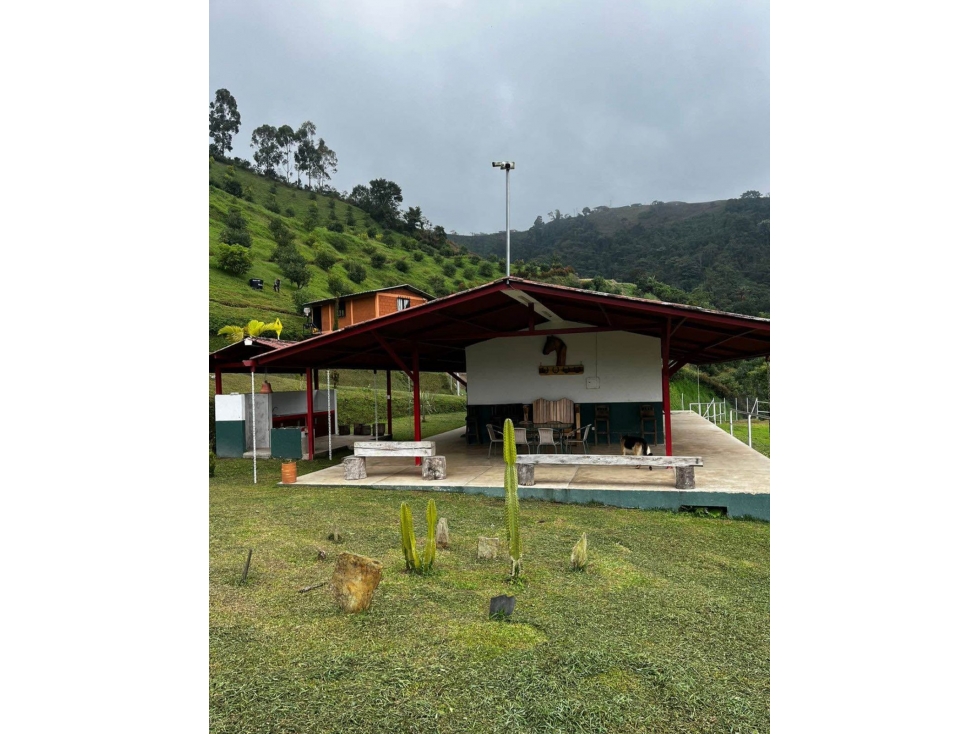 SE VENDE O PERMUTA FINCA EN LA FLORIDA — foto 6