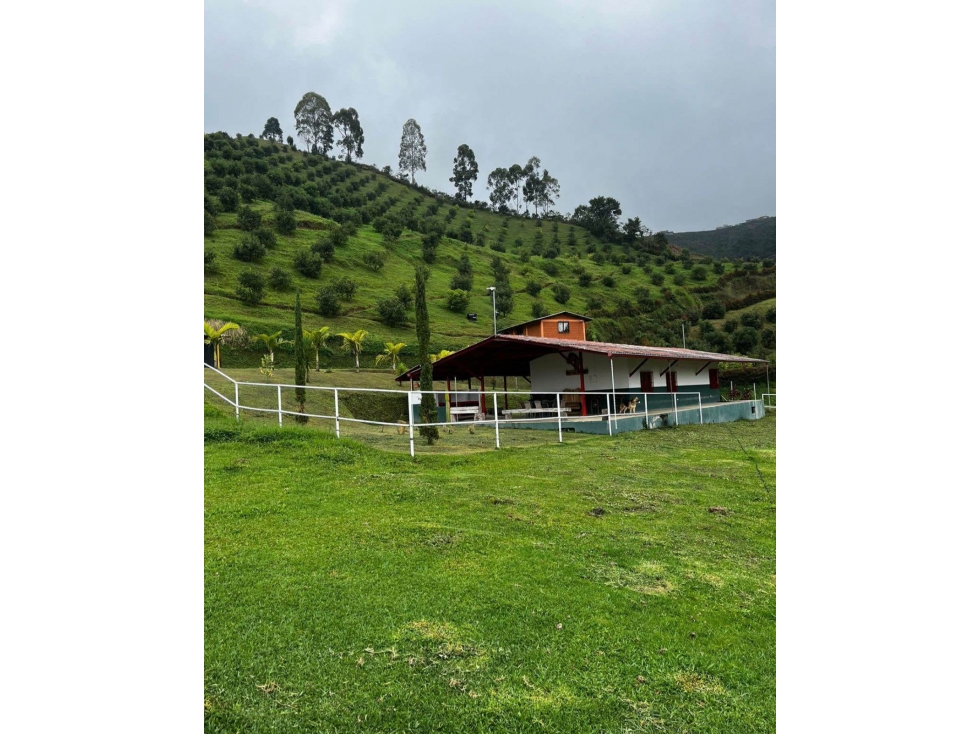SE VENDE O PERMUTA FINCA EN LA FLORIDA — foto 3