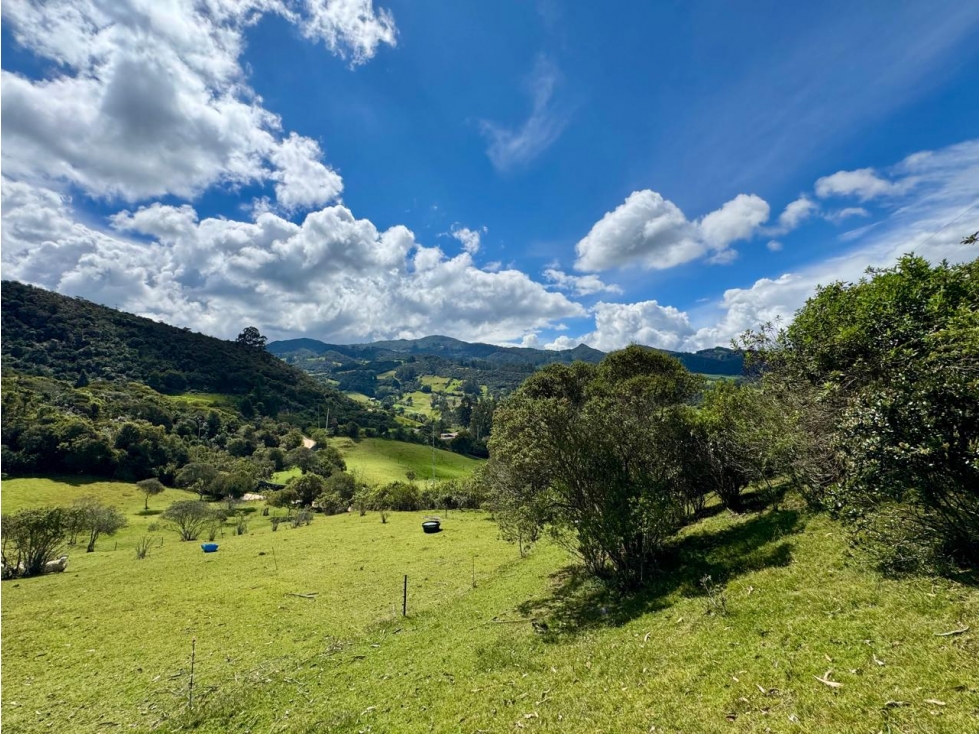 Lote en Venta Guasca Cundinamarca - 1