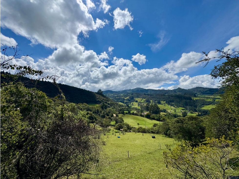 Lote en Venta Guasca Cundinamarca - 2