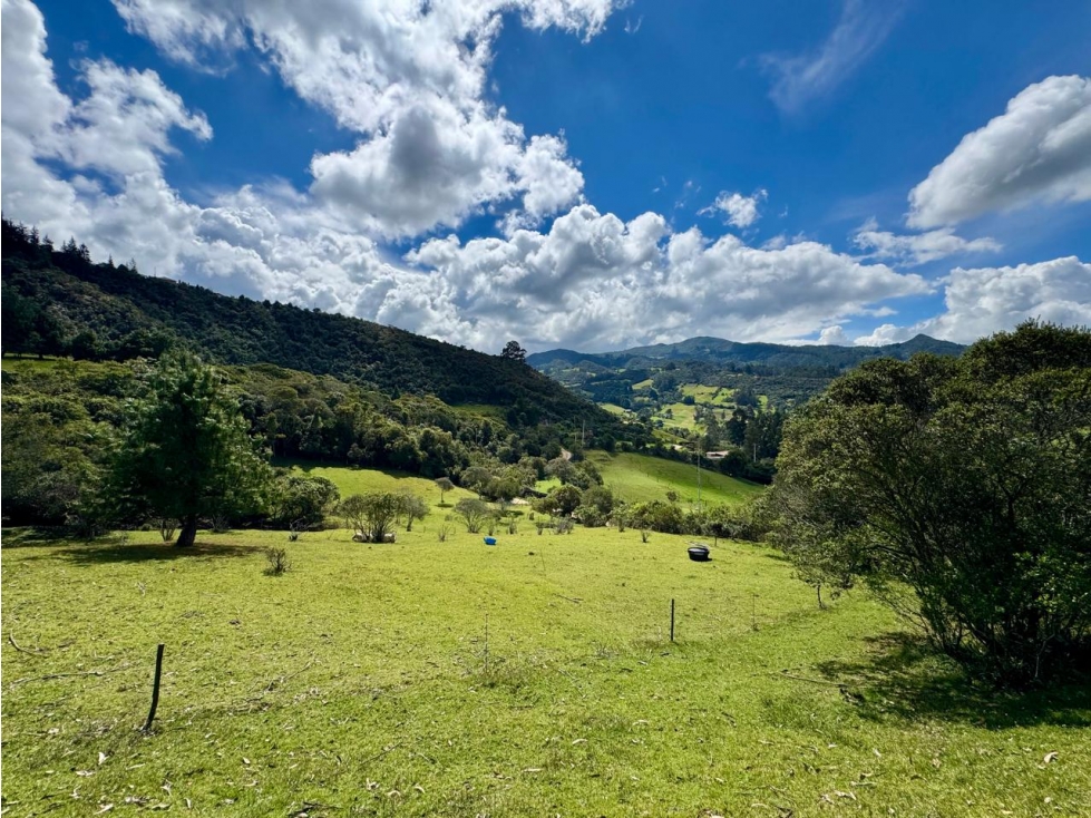 Lote en Venta Guasca Cundinamarca - 3