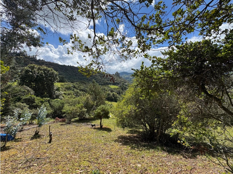Lote en Venta Guasca Cundinamarca - 5