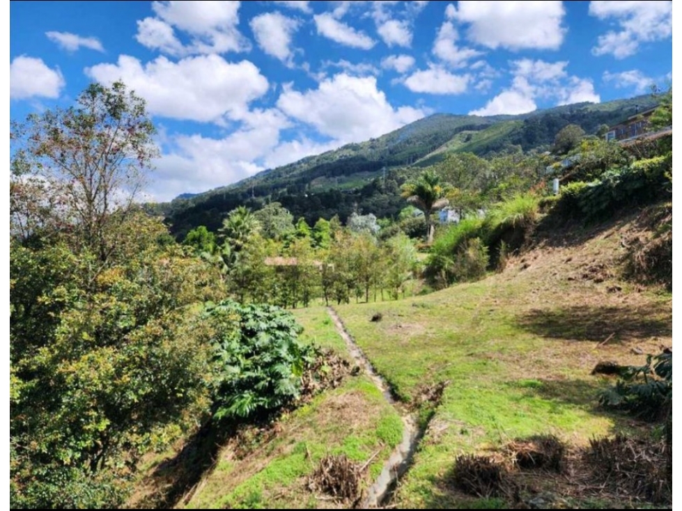 VENDO ESPECTACULAR LOTE LAS PALMAS — foto 4