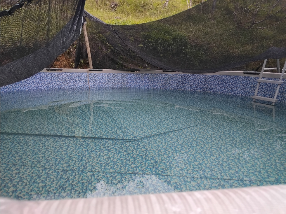VENDO ESPECTACULAR FINCA A 20 minutos DE GUATAPE — foto 4