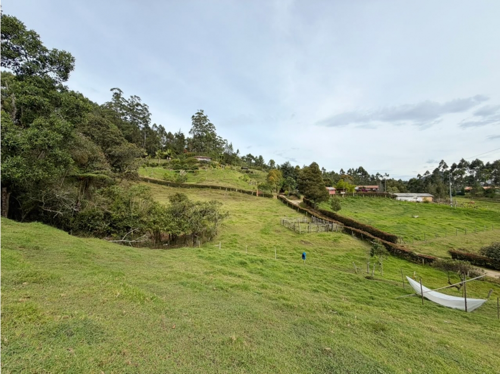 Lote en Parcela Vereda el Portento