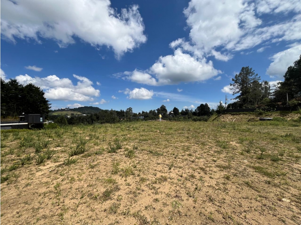 Lote en Alto de la Palmas — foto 5