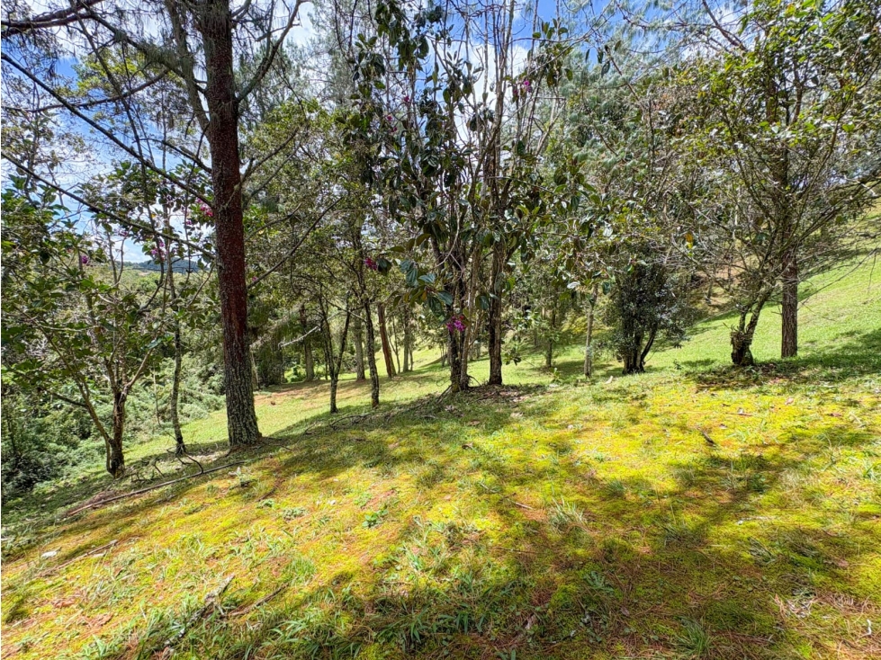 Lote en Parcelacion ubicado en el alto del Escobero — foto 5