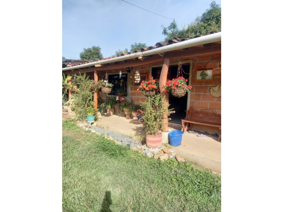 Finca Productora en Venta, San Vicente Ferrer Antioquia — foto 2
