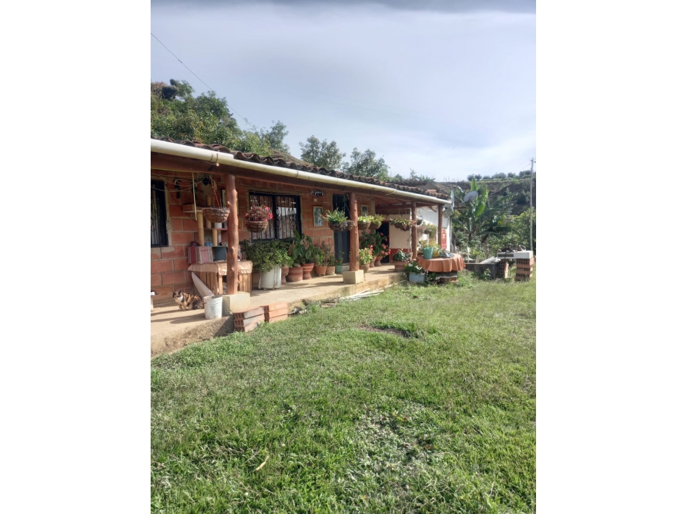 Finca Productora en Venta, San Vicente Ferrer Antioquia — foto 3