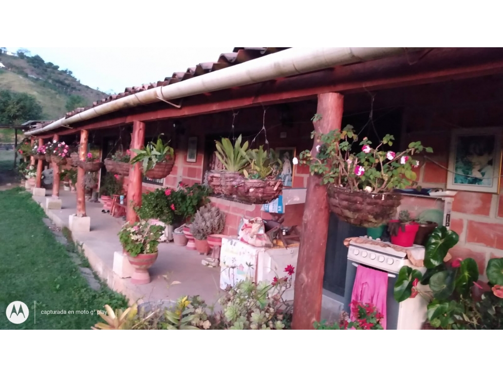 Finca Productora en Venta, San Vicente Ferrer Antioquia